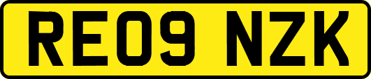 RE09NZK