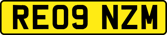 RE09NZM