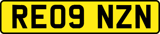 RE09NZN