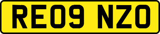 RE09NZO