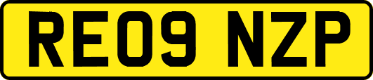 RE09NZP