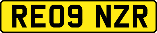 RE09NZR