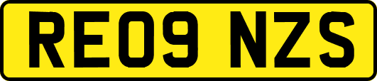 RE09NZS