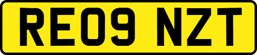 RE09NZT
