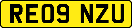 RE09NZU