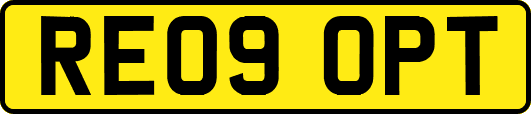 RE09OPT