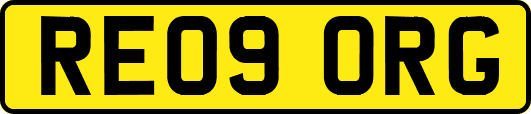 RE09ORG