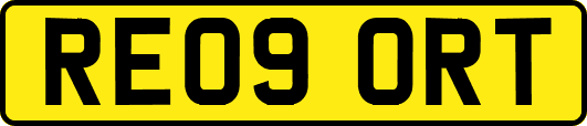 RE09ORT