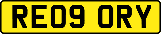 RE09ORY