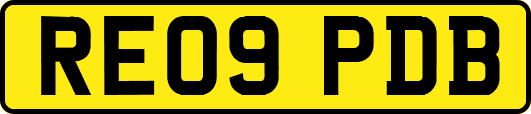 RE09PDB