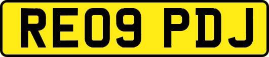 RE09PDJ
