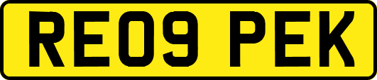 RE09PEK
