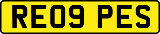 RE09PES