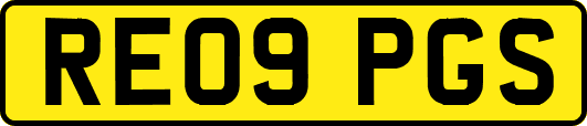 RE09PGS