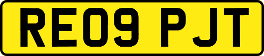 RE09PJT