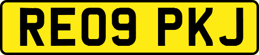 RE09PKJ