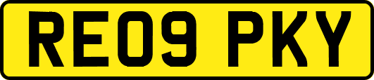 RE09PKY