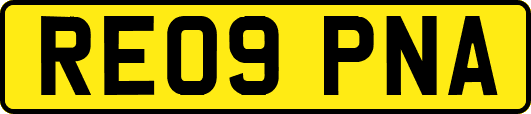 RE09PNA
