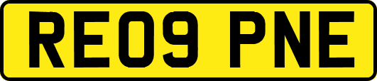 RE09PNE