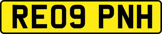RE09PNH
