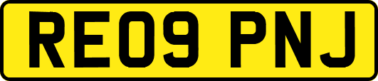 RE09PNJ