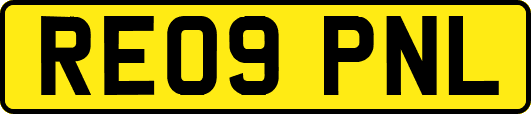 RE09PNL