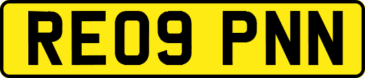 RE09PNN