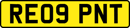 RE09PNT