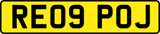 RE09POJ