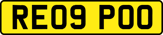 RE09POO