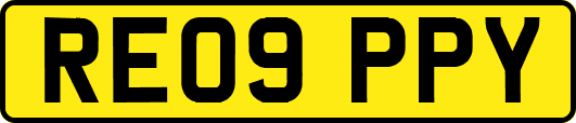 RE09PPY