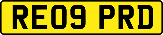 RE09PRD