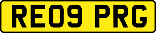 RE09PRG