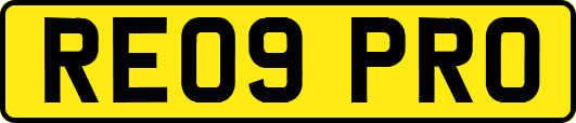 RE09PRO