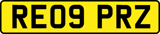 RE09PRZ