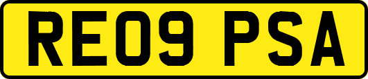 RE09PSA