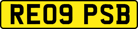 RE09PSB