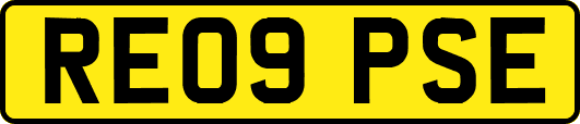 RE09PSE
