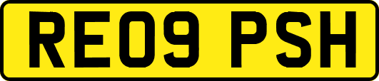 RE09PSH