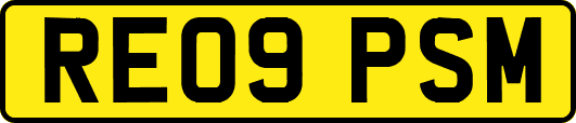 RE09PSM