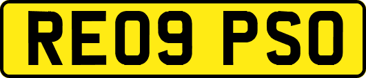 RE09PSO