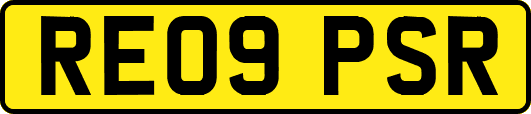 RE09PSR