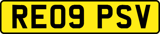 RE09PSV