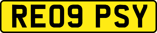 RE09PSY