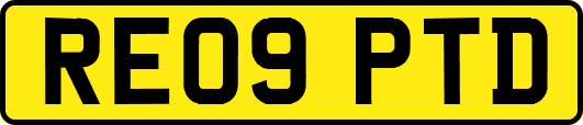 RE09PTD