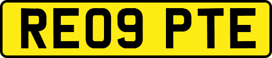 RE09PTE