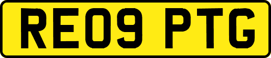 RE09PTG