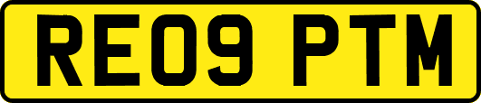 RE09PTM