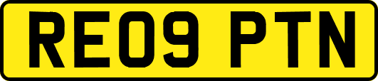 RE09PTN