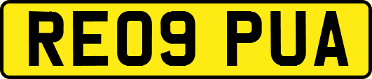 RE09PUA